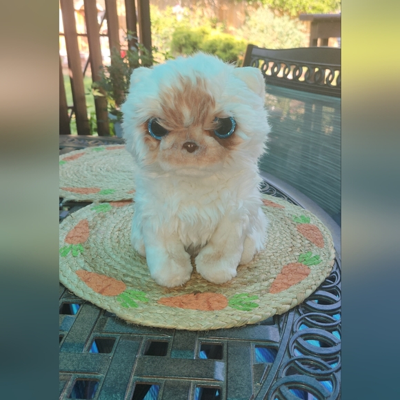 Hugs baby cat - Picture 1 of 8